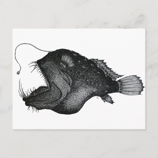 Carte Postale Anglerfish (Devant)