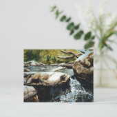 Carte postale "Anglin's Creek #2" (Debout devant)