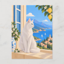 Angora Turc Méditerranéen blanc