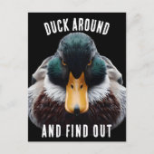 Carte Postale Angry Duck dit Duck Around and Find (Devant)