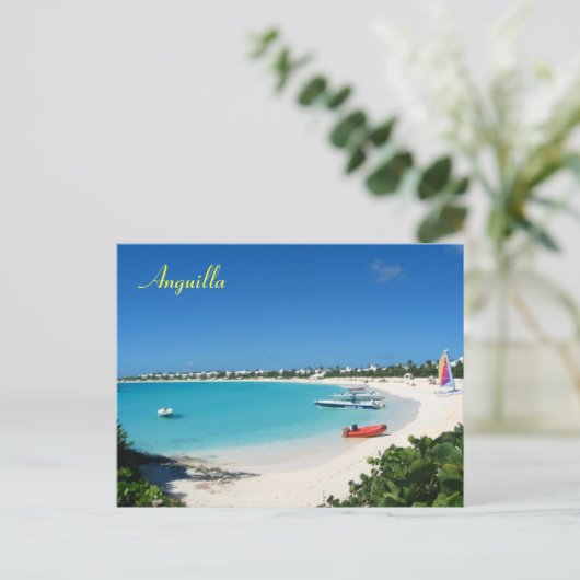 Carte postale Anguilla (Debout devant)