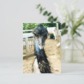 Carte Postale Angy Emu (Debout devant)