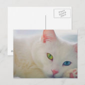 Carte Postale Animal (Devant / Derrière)