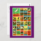 Carte Postale Animal abc alphabet Chart teachers and learners (Devant / Derrière)