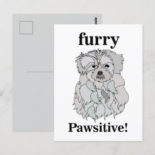 Carte Postale Animal animal chien maltais animal animal drôle