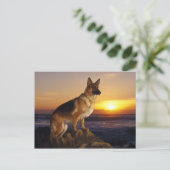 Carte Postale animal de chien alsacien (Debout devant)