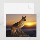 Carte Postale animal de chien alsacien (Devant / Derrière)