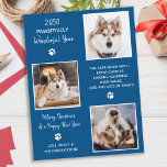 Carte Postale Animal de compagnie de chien personnalisé année d'<br><div class="desc">Meilleure année à jamais ! Selon les chiens ! Ajoutez un peu d'humour mignon et envoyez des voeux de vacances avec cette adorable et amusante "Pawsitivement meilleure année Ever" - carte de collage photo pour chien de compagnie. Ça a été une année folle, et avec la pandémie, beaucoup d'humains ont...</div>