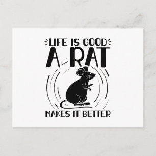 Carte Postale Animal de compagnie Rats rongeurs Animaux Cadeau