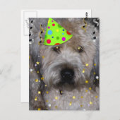 Carte Postale Animal de fête Wheaton Terrier (Devant / Derrière)