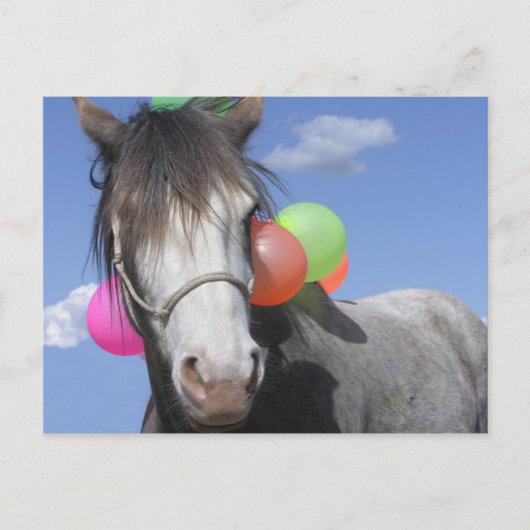 Carte Postale Animal de partie (Devant)