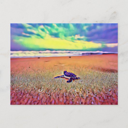 Carte Postale Animal de reptile de tortue (Devant)