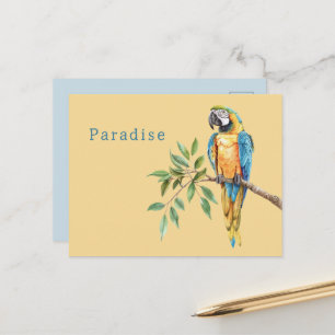 Carte Postale Animal de safari oiseau bleu jaune perroquet