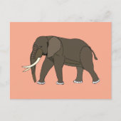 Carte Postale Animal Éléphant (Devant)