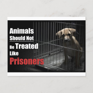 Carte postale Animal Not Prisoners