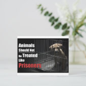 Carte postale Animal Not Prisoners (Debout devant)