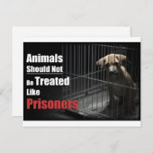 Carte postale Animal Not Prisoners (Devant / Derrière)