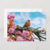 Carte Postale Animal - Oiseau - Premier rouge-gorge du printemps (Devant / Derrière)