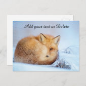 Carte Postale *~* Animal Red Fox Ap18 Personnaliser de la faune  (Devant / Derrière)