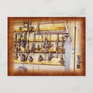 Carte Postale Animal Traps in Alaska