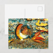 Carte Postale AnimalArt_CochonDInde_001 (Devant / Derrière)