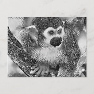 Carte Postale AnimalArtBW_Monkey_002