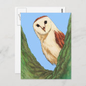 carte postale animale de chouette des neiges (Devant / Derrière)