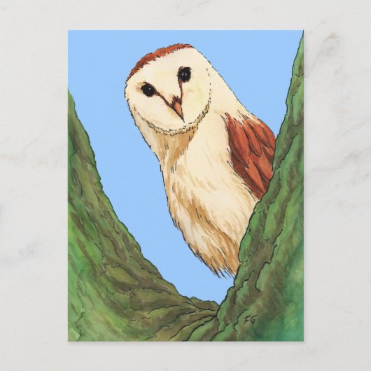 carte postale animale de chouette des neiges (Devant)