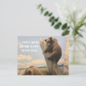 Carte postale animale manquante (Debout devant)