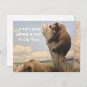 Carte postale animale manquante (Devant / Derrière)