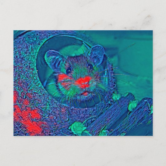 Carte Postale AnimalMix_Hamster_005 (Devant)