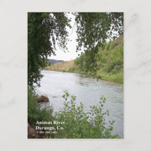 Carte Postale Animas