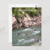 Carte Postale Animas River Rapids (Devant / Derrière)