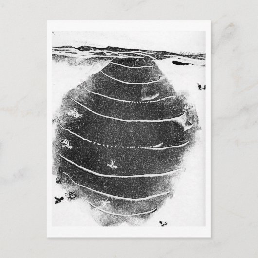 Carte postale Animaux (Devant)