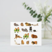 Carte Postale animaux (Debout devant)