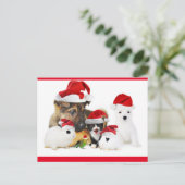 Carte Postale Animaux (Debout devant)