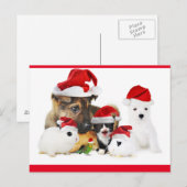 Carte Postale Animaux (Devant / Derrière)