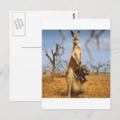 Carte Postale Animaux Abstraits Kangaroo Baby Shock (Devant / Derrière)