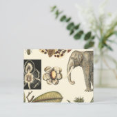 Carte Postale Animaux agressés peints sur Arrière - plan de crèm (Debout devant)