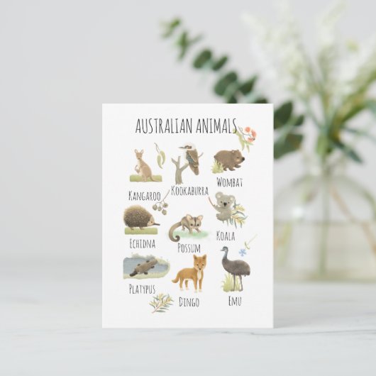 Carte Postale Animaux australiens (Debout devant)
