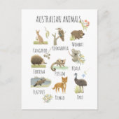 Carte Postale Animaux australiens (Devant)