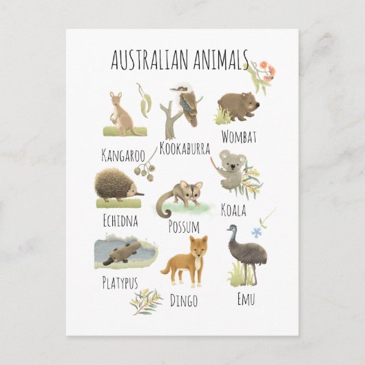 Carte Postale Animaux australiens (Devant)
