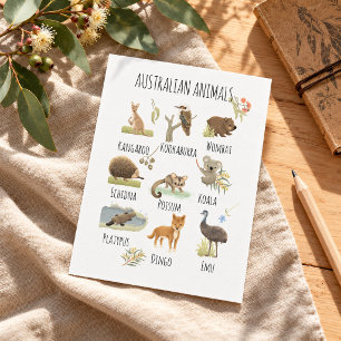 Carte Postale Animaux Australiens
