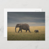 Carte Postale Animaux Bébés les Plus Mignons | Famille d'Éléphan (Devant / Derrière)