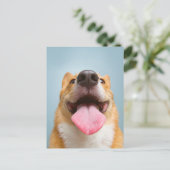 Carte Postale Animaux Bébés les Plus Mignons | Langue de Corgi (Debout devant)