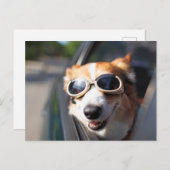 Carte Postale Animaux Bébés les Plus Mignons | Lunettes de Corgi (Devant / Derrière)