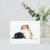 Carte Postale Animaux Bébés les Plus Mignons | Old Tyme British  (Debout devant)