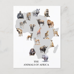 Carte Postale Animaux d'Afrique Safari Faune