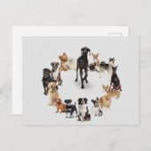 Carte Postale Animaux d'animaux de compagnie de chiens amusants  (Devant / Derrière)