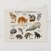 Carte Postale Animaux d'Australie (Devant)